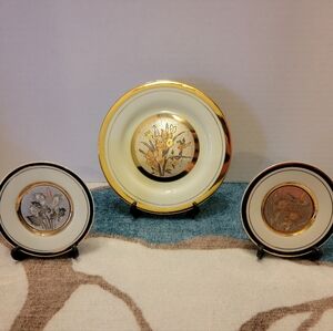 Gold and Silver Decorative Plates Set